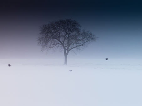 Winterdepression?