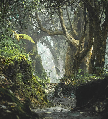 Image by Mike Blank
