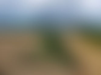 Avanço Tecnológico e Clima: O Novo Cenário da Safra 2025/26 no Brasil