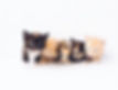 Image de The Lucky Neko