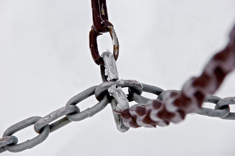 Link Building