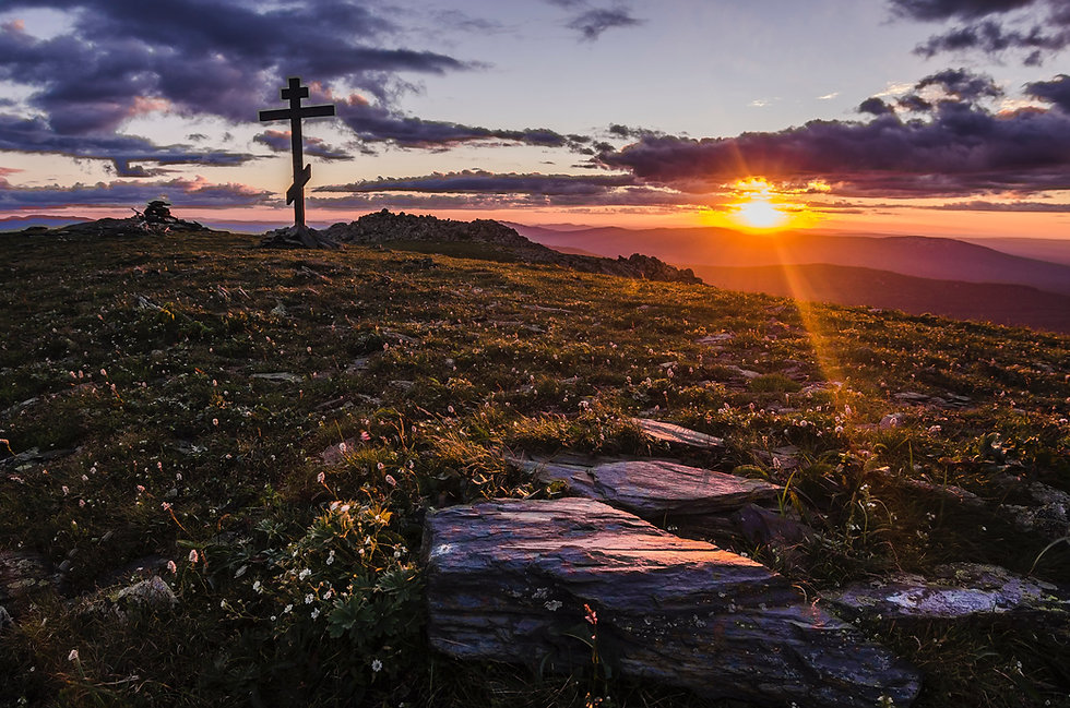 Image by Daniil Silantev