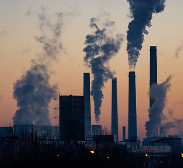 Image by Ella Ivanescu