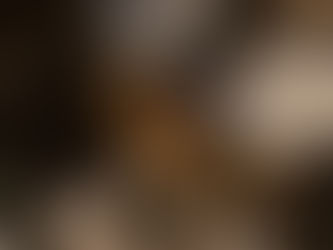 Dystopia Chapter 6: A Marked Man