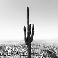 Image by Sarah Otte