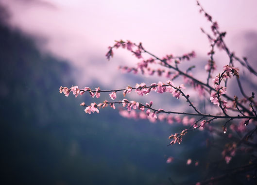 Image by Nikhil kumar