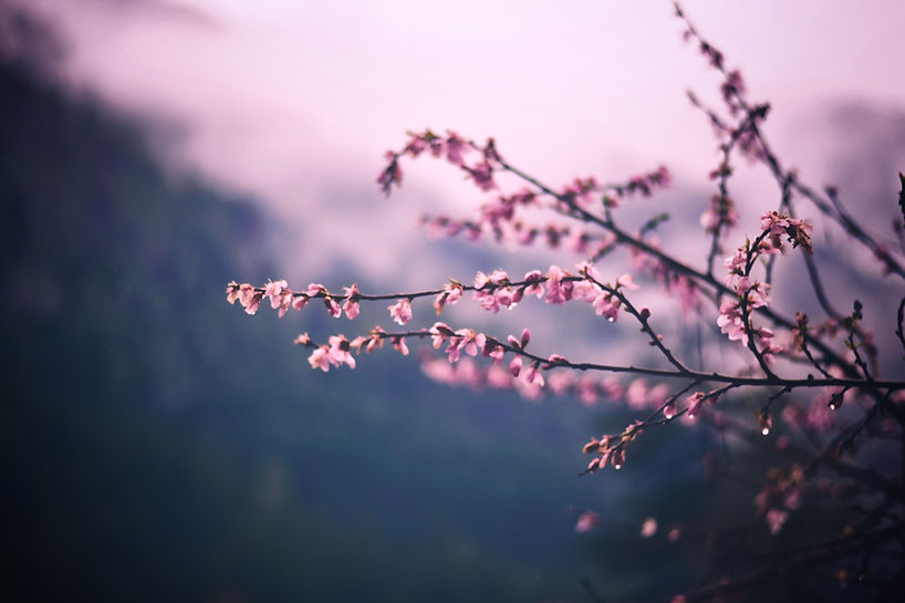 Image by Nikhil kumar