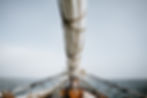 Image by Annie Spratt