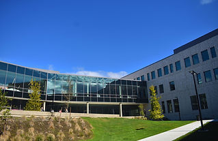 Landscaped Commercial Bulding