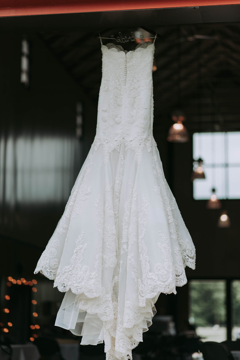 Image by Samantha Gades