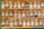 A box of lots small homeopathic remedy bottles