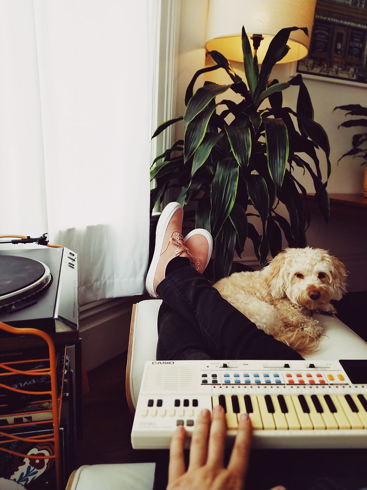 La música pensada para nuestras mascotas con el sello de Felix Pando
