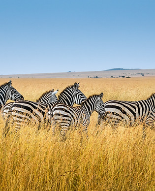 Image by sutirta budiman