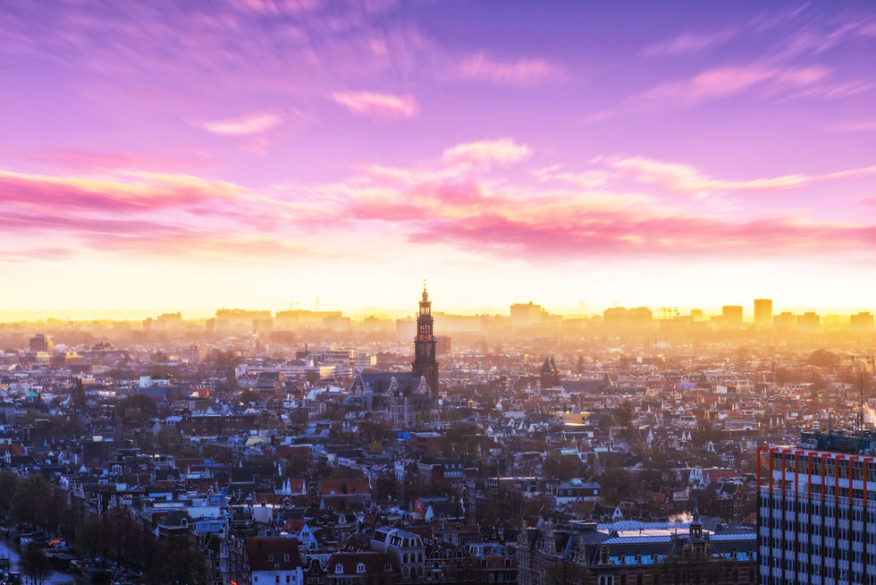 Prueba la libertad: una aventura en Ámsterdam que admite perros