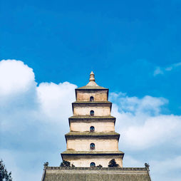 The Art of Doing Nothing