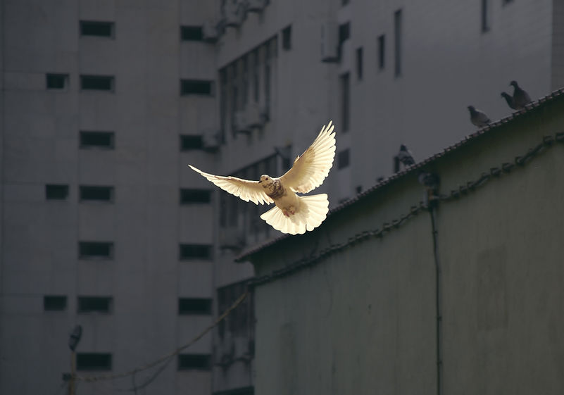 Image by Mika Matin