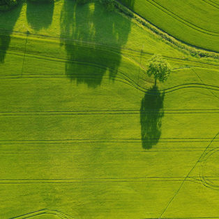 Embrace sustainable travel in Slovenia: Your guide to a greener adventure. GoGreen!