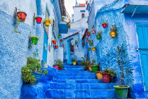 Image by Milad Alizadeh