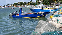 Team building guadeloupe