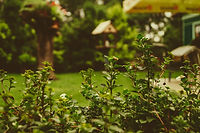 Image by Martin Kníže