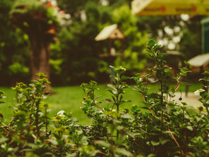 Simple Planning to Reduce Stress