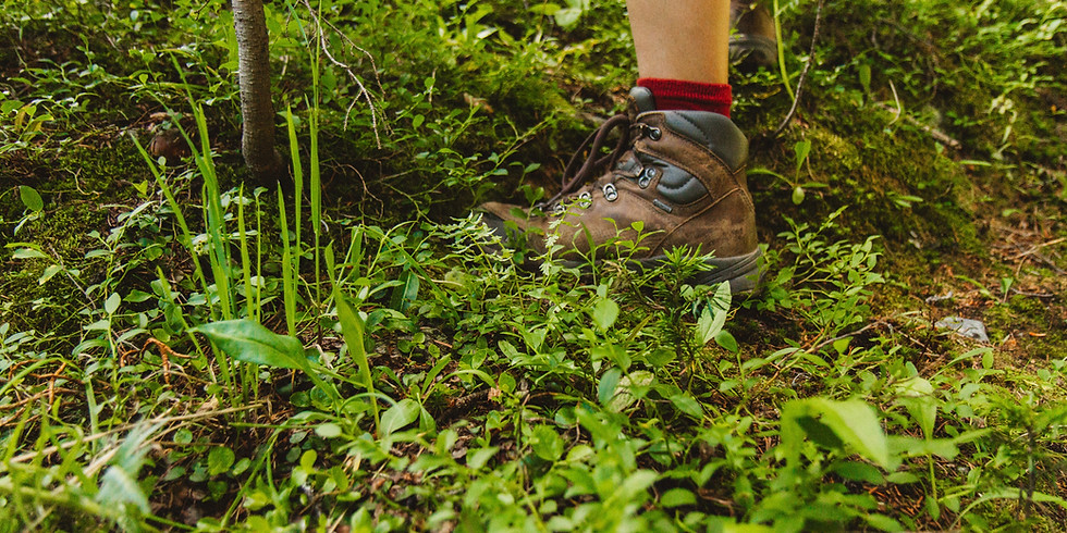 Foraging Walk