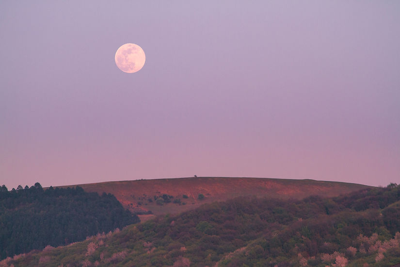 Image by Adi Ulici