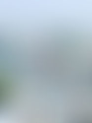 Udaipur: de stad van meren en paleizen