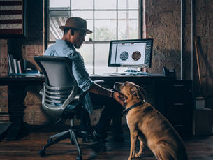 David Davis Dire Straits