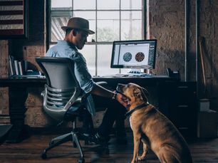 David Davis Dire Straits