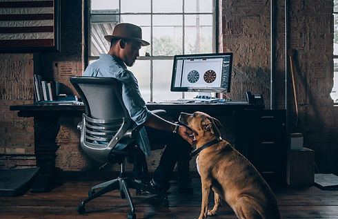 Consultation video canine