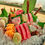 Thumbnail: Ohba on Sashimi Platter