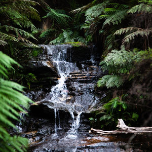 Embrace Adaptability: How to Flow Like Water Through Life's Challenges