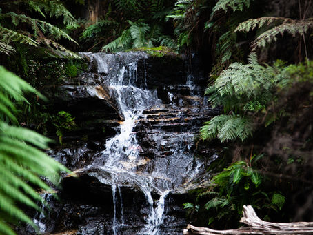 The Art of Gentle Ambition