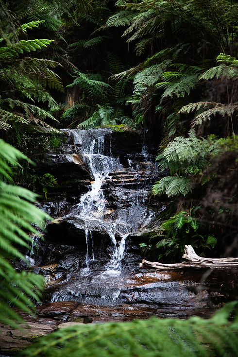 Image by Deleece Cook
