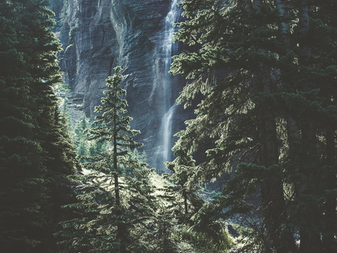 This Law In Nature Will Teach You Self-Love
