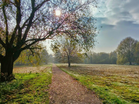 The Beaten Path