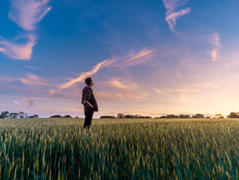 Tourism's Sustainable Future