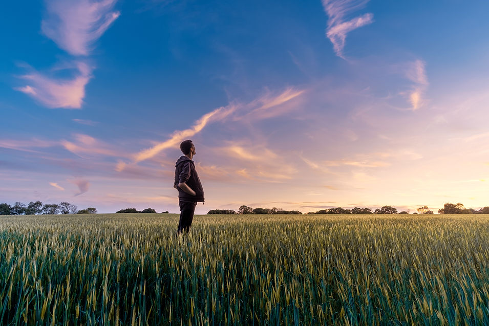 Man walking through a field at sunrise – representing mental freedom, clarity, and peace of mind.