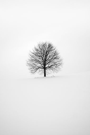 Image by Fabrice Villard