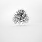 Image by Fabrice Villard