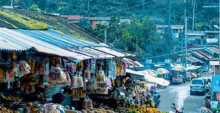 Pemerintah Daerah Diminta Tingkatkan Kinerja Pajak Daerah