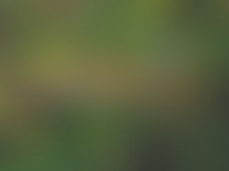 C'est la chenille qui redémarre!