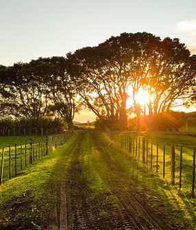 campo a la venta en santa rosa