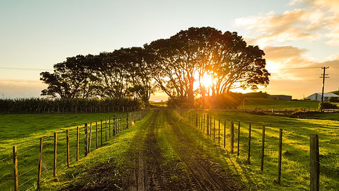 Sunset over farm setting