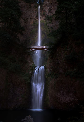 Image by Casey Horner