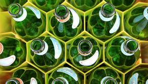 To Recycle or Not To Recycle?