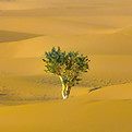Image by Karim MANJRA