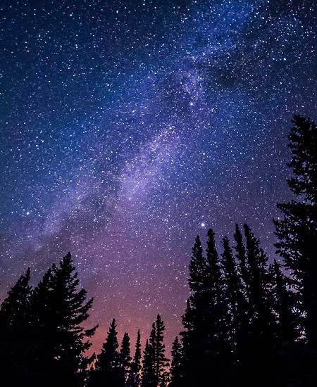 Image de Ryan Hutton