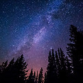 Image by Ryan Hutton